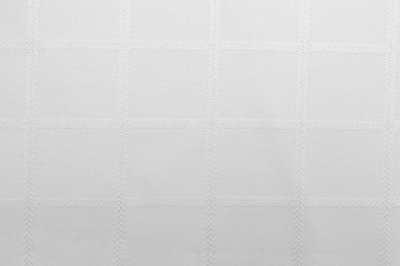 Скатертная ткань 25536/2005, 174 гр/м2, шир.150см, цвет белый - купить в Екатеринбурге. Цена 269.46 руб.