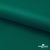 Ткань подкладочная Таффета, 19-5420, 53 г/м2, антистатик, шир. 150 см, вечнозеленый - купить в Екатеринбурге. Цена 57.16 руб.