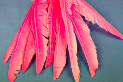 Декоративный Пучок из перьев, перо 25см/розовый - купить в Екатеринбурге. Цена: 14.40 руб.