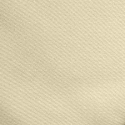 Ткань подкладочная Таффета 14-1014, антист., 53 гр/м2, шир.150см, цвет бежевый - купить в Екатеринбурге. Цена 62.37 руб.