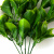 Трава искусственная -1, шт (эвкалипт лист 32 см/8 см)				 - купить в Екатеринбурге. Цена: 169.93 руб.