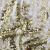 Трикотажное полотно, Сетка с пайетками, шир.130 см, #315, цв.-белый/золото - купить в Екатеринбурге. Цена 693.39 руб.