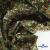 Ткань костюмная «Микровельвет велюровый принт», 220 г/м2, 97% полиэстр, 3% спандекс, ш. 150См Цв  #9 - купить в Екатеринбурге. Цена 439.76 руб.