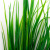 Трава искусственная -2, шт (осока 41см/8 см)				 - купить в Екатеринбурге. Цена: 104.57 руб.