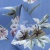 Плательная ткань "Фламенко" 12.1, 80 гр/м2, шир.150 см, принт растительный - купить в Екатеринбурге. Цена 243.96 руб.