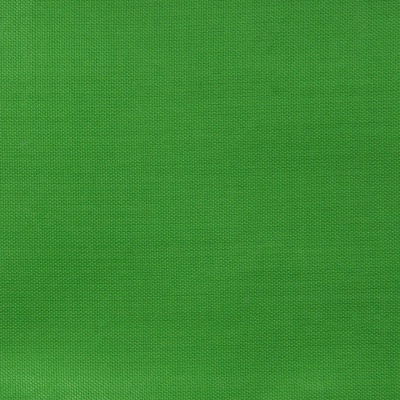 Ткань подкладочная Таффета 17-6153, 48 гр/м2, шир.150см, цвет трава - купить в Екатеринбурге. Цена 54.64 руб.