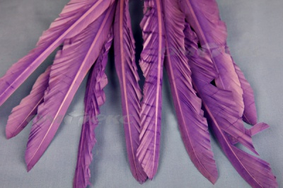 Декоративный Пучок из перьев, перо 25см/фиолетовый - купить в Екатеринбурге. Цена: 12.19 руб.
