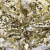 Трикотажное полотно, Сетка с пайетками, шир.130 см, #315, цв.-белый/золото - купить в Екатеринбурге. Цена 693.39 руб.