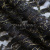Кружевное полотно XD LACE 1-4, 80 гр/м2, шир.150см, цвет чёрный - купить в Екатеринбурге. Цена 245.94 руб.